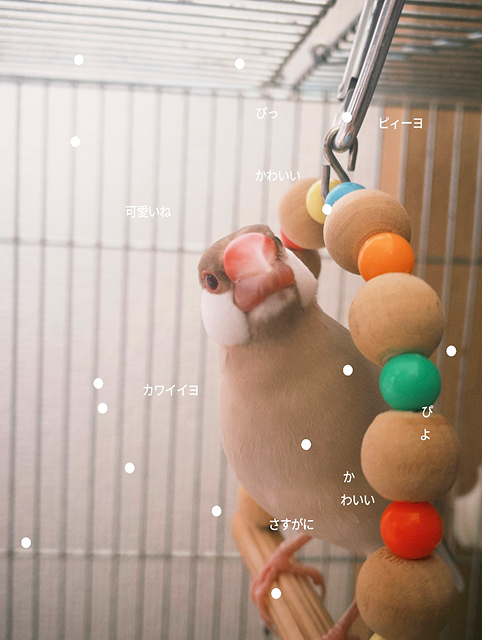 TYPOETRY 作品サンプル 1