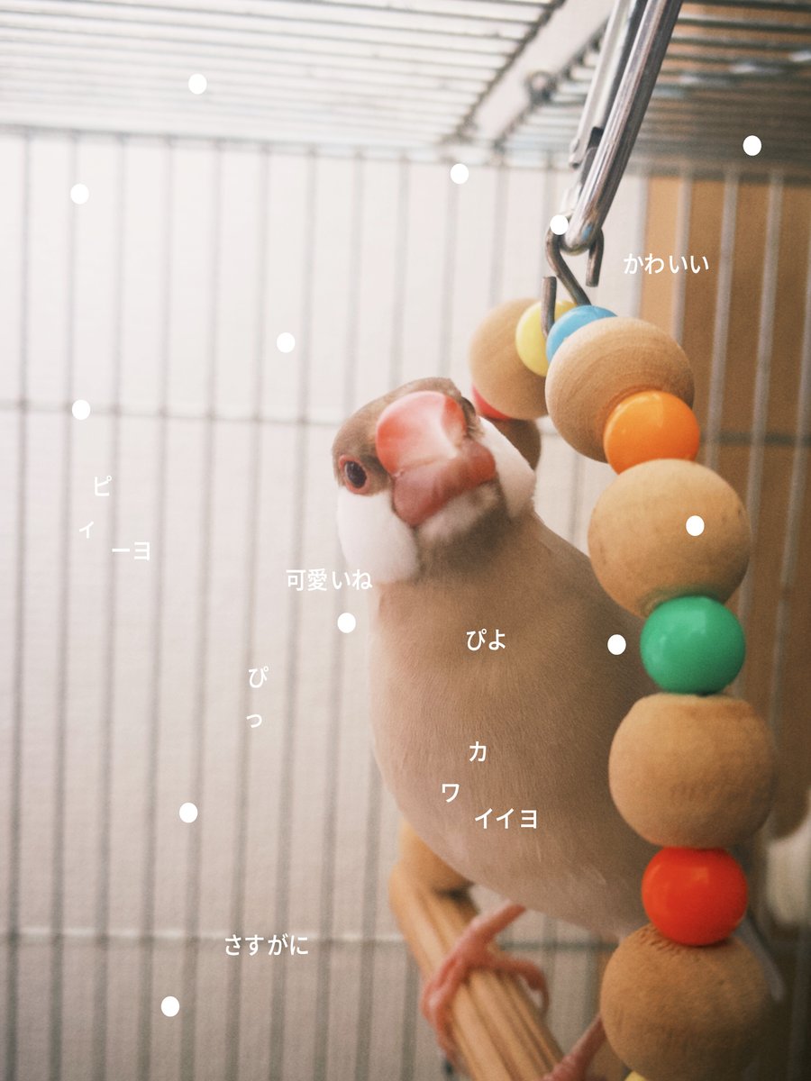 TYPOETRY 作品サンプル（ボタンを押すと配置が変わります）